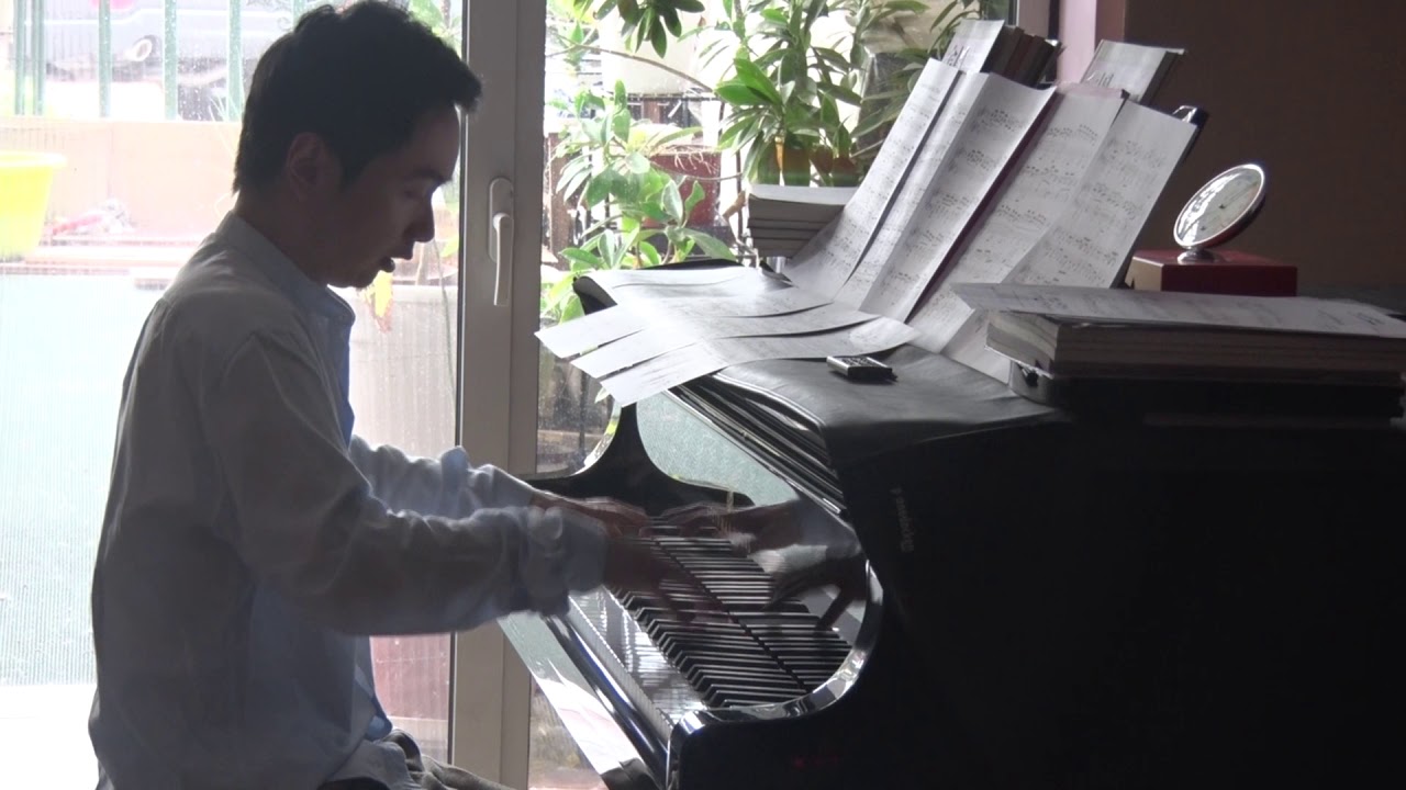 Wenyu Shen plays The Imperial March (Darth Vader's Theme),  沈文裕改编演奏星球大战《帝国进行曲》达斯 维达主题曲