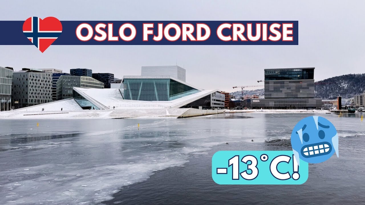 Oslo Fjord Sightseeing Cruise in the Winter