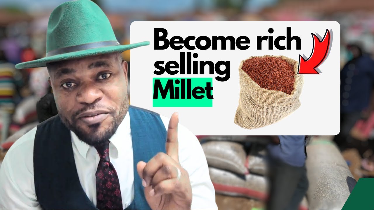 JANUARY EXPLOSION! Ordinary Nigerians Making ₦1M Weekly from Millets (Proof Inside!)