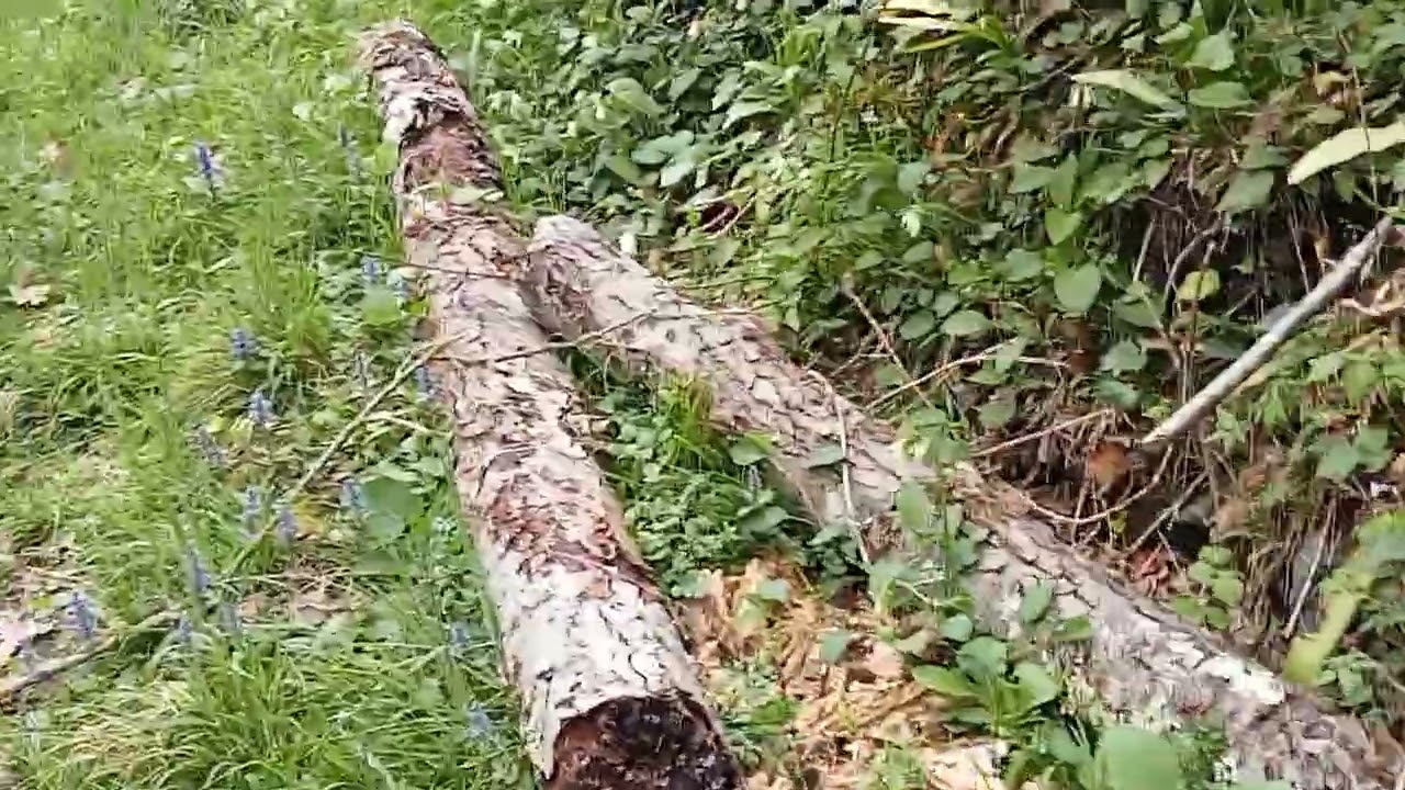 Somara topladık pişirdik köy gezimiz..Annemin hepinize selamı var☺️