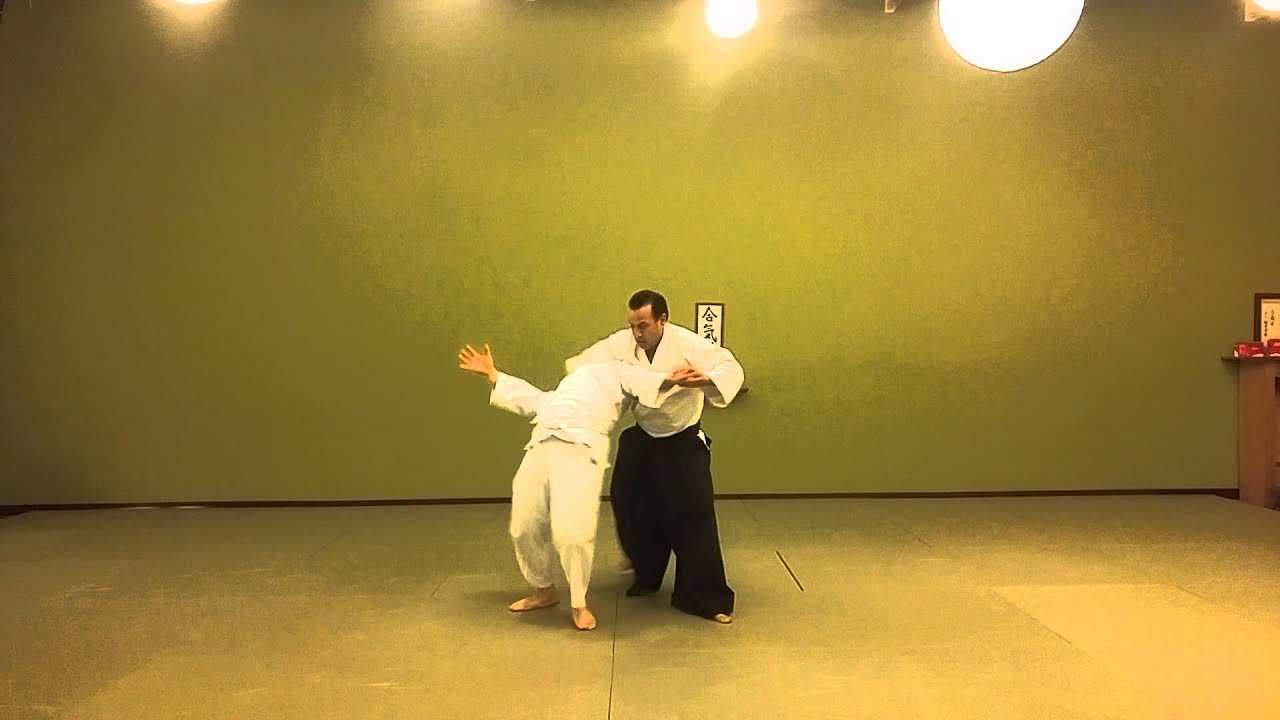 Aikido sayunage from Tenshin Aikido perspective