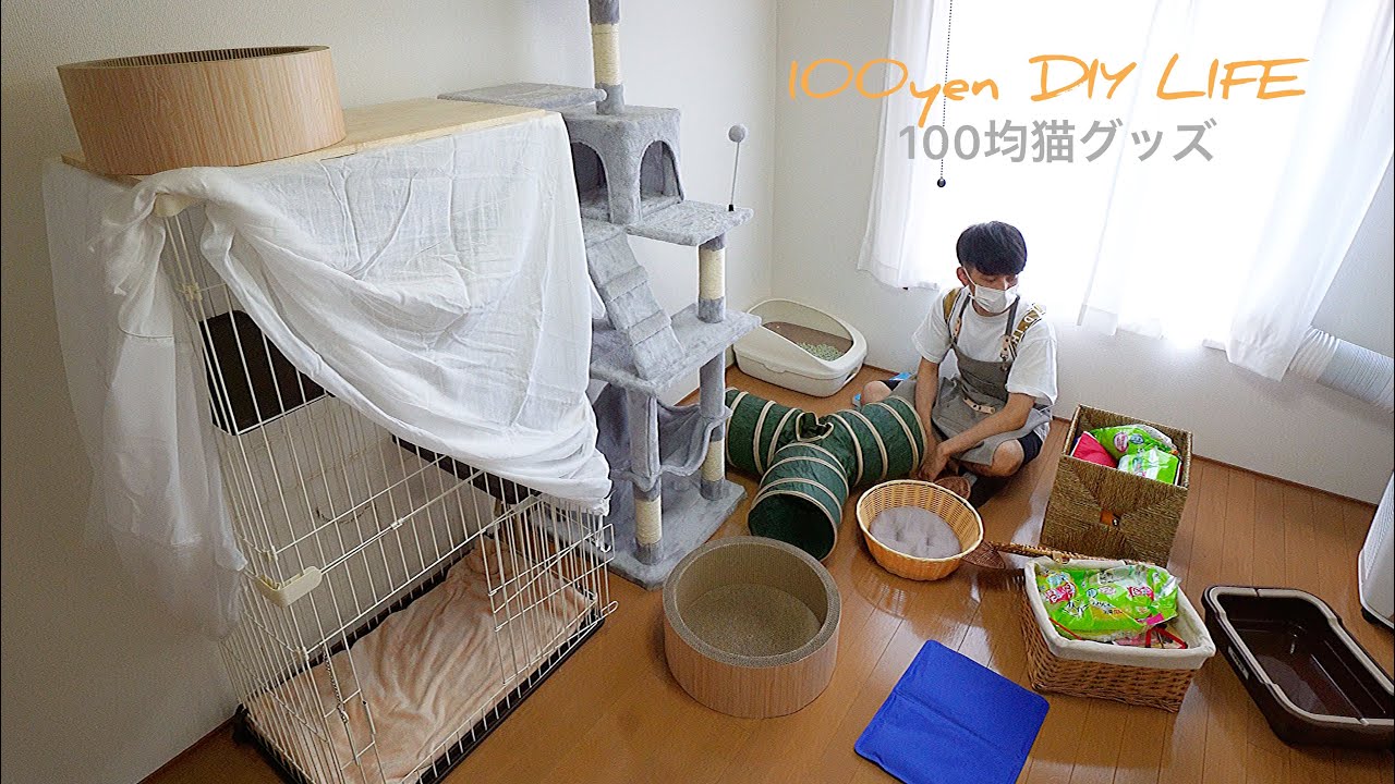 【保護猫活動準備】100均猫グッズ&激安ナフコ爪研ぎ