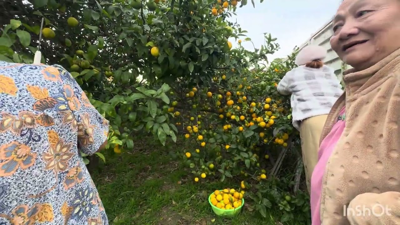 Ngày thứ 5 ở Mỹ