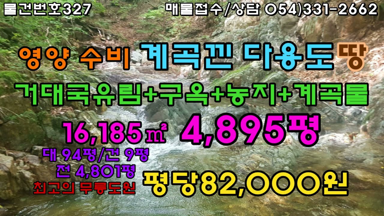 [물건번호327 .영양군 수비면 최고의 명당 최고의 무릉도원 평당82,000원] 거대한 국유림으로 둘러싸인 천혜의 청정지역으로 그냥 마셔도 되는 1급 청정수 계곡물접한 대지및 농지