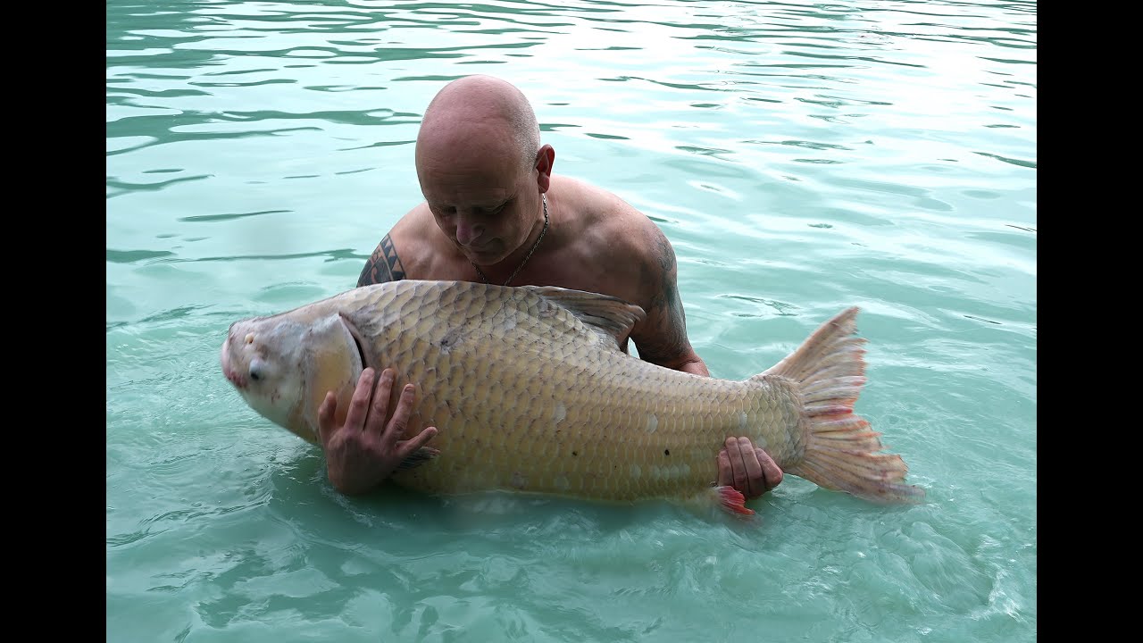 Samui Fishing Park & Resort