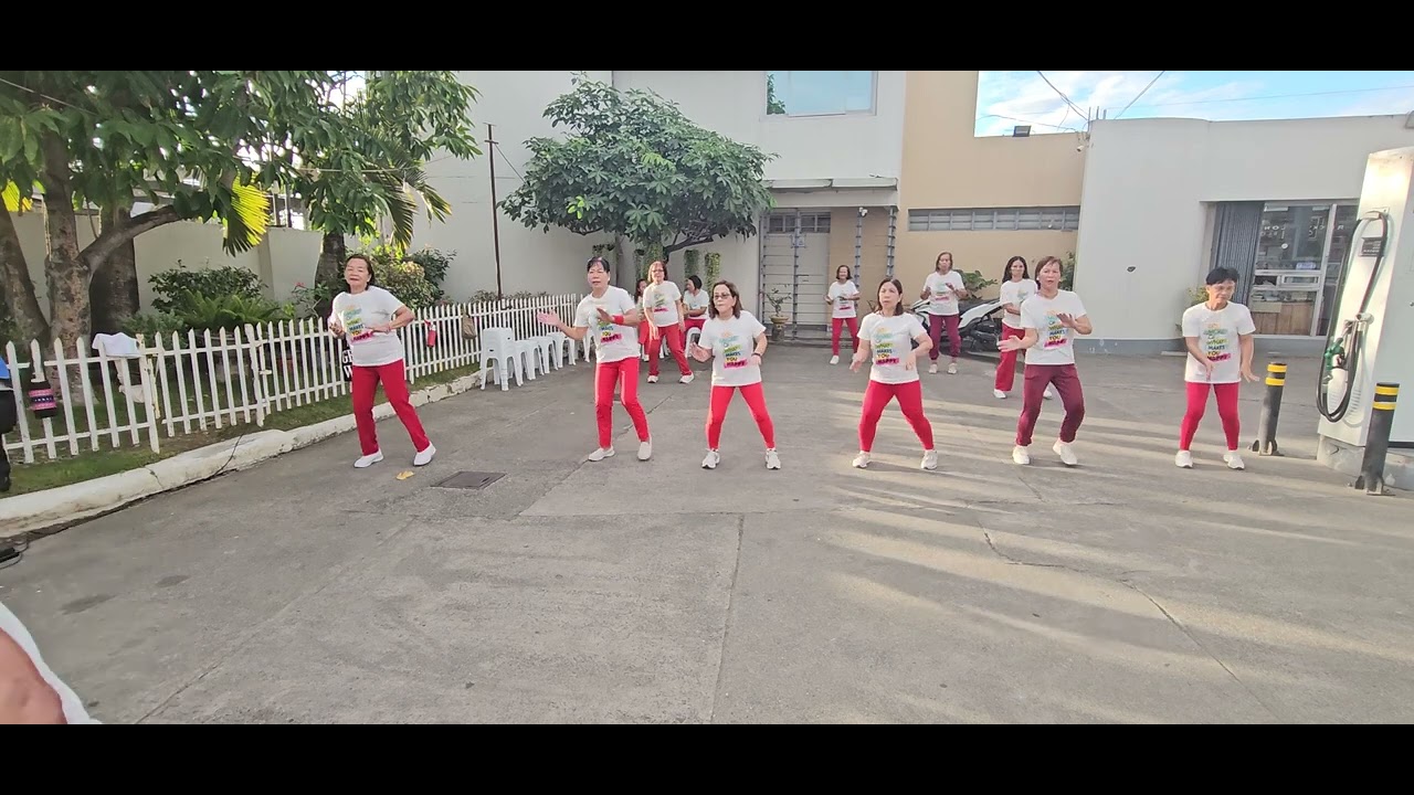 Malasin zumba ladies