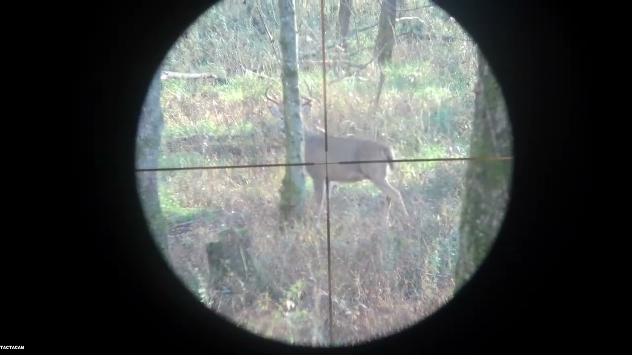 8 point buck 11-13-22  Tactacam 5.0 FTS 300 Win Mag