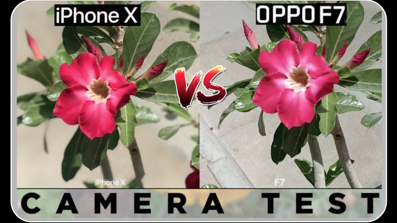 Oppo F7 VS iPhone X Camera Test !
