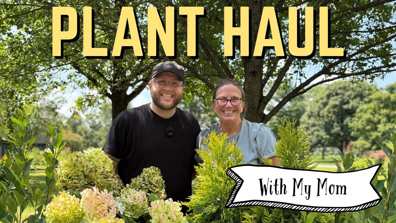 Mother–Son Plant Haul | Evergreens, Shrubs & Garden Dreams