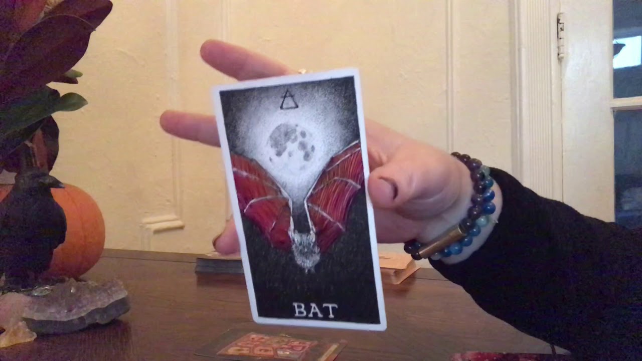 SCORPIO-MASTER OF MYSTERY! (1ST 1/2 NOV GEN)