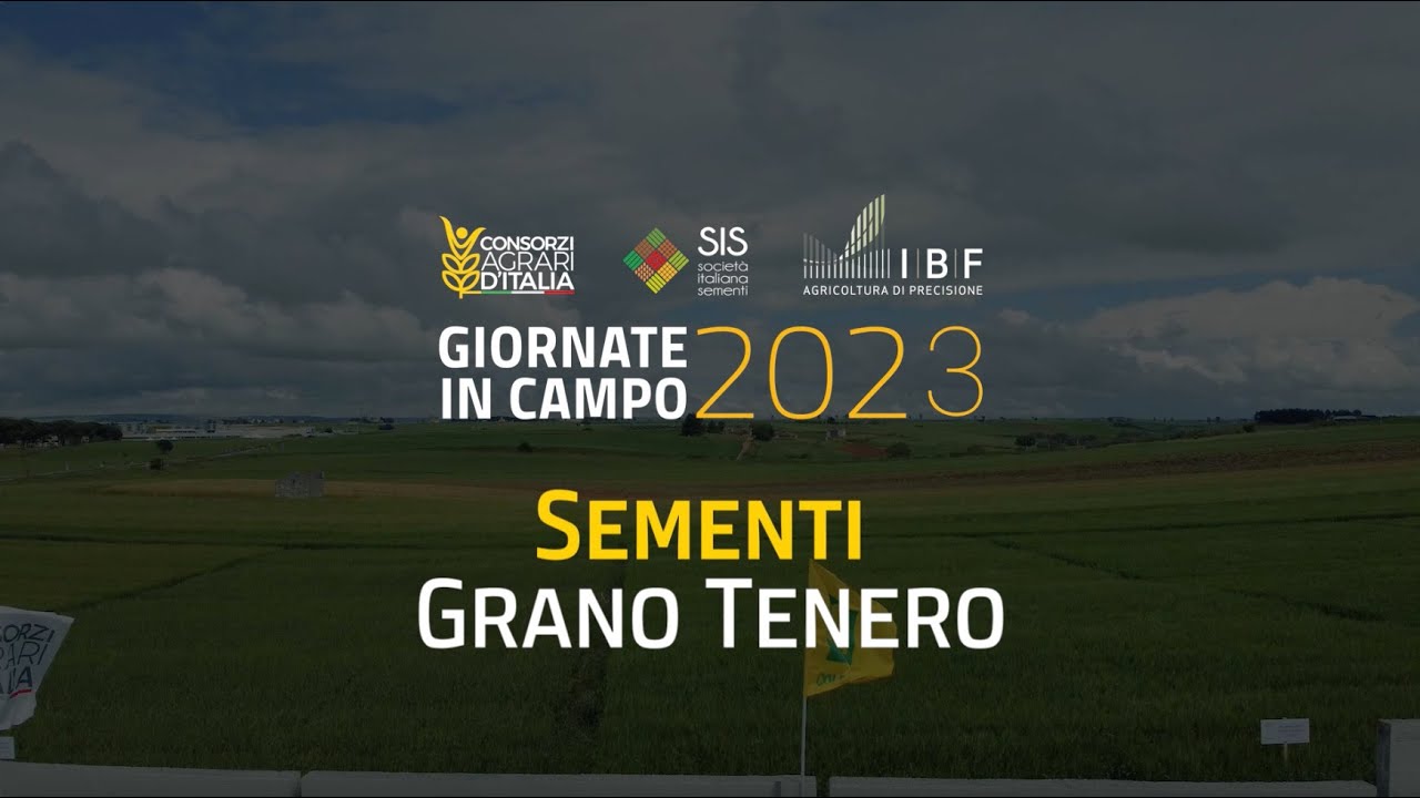 2023 | Sementi | Grano Tenero