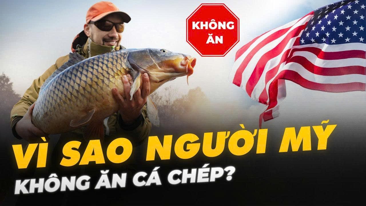 VÌ SAO NGƯỜI MỸ KHÔNG ĂN CÁ CHÉP?
