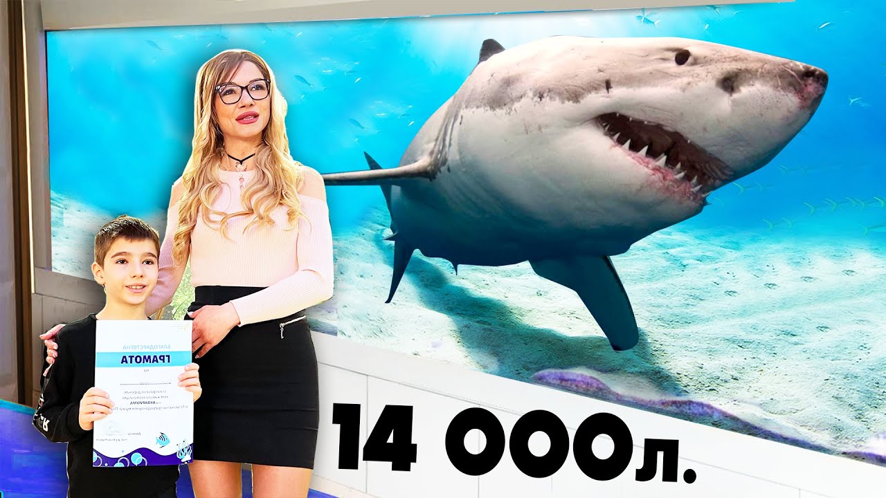 600 волта НАЙ-OПАСНИТЕ РИБИ в СВЕТА!!! Природонаучния музей в Пловдив!