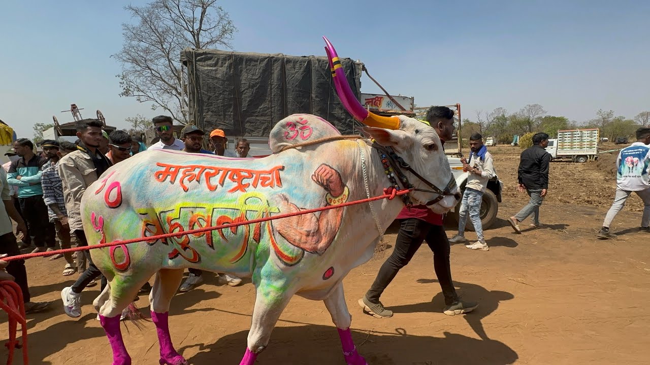 सोन्या 5050 आला मैदानाला ✌🏻😍❤️‍🔥