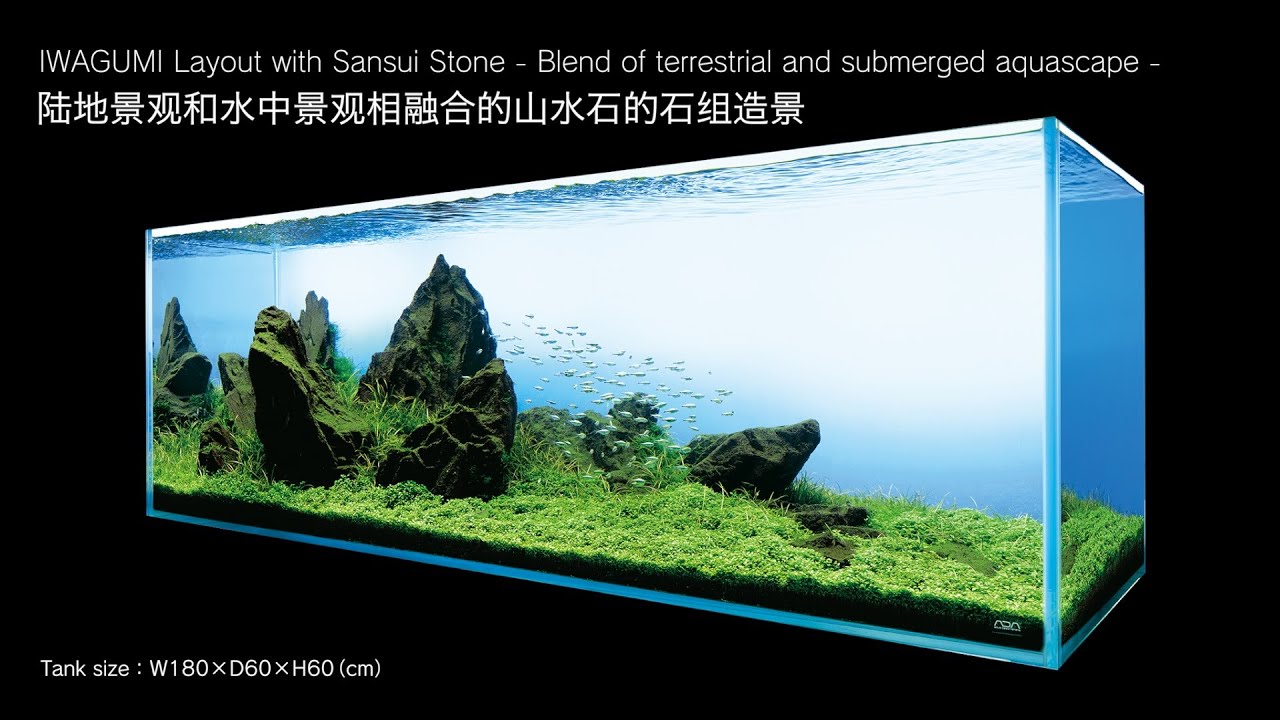 [ADAview] AJ229-180cm Tank Layout: IWAGUMI Layout with Sansui Stone(EN/CN Subs)