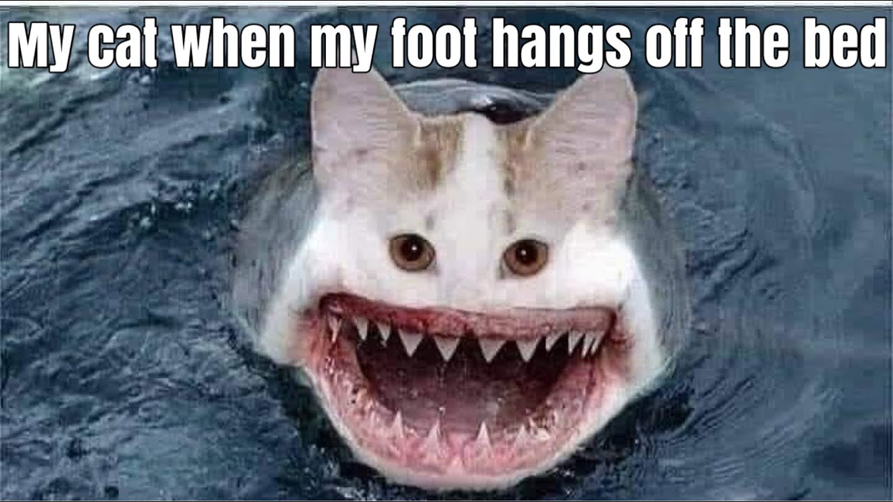 MEMES TO WATCH DURING QUARANTINE #57 / Meme compilation 2020/ Memes to make me laugh