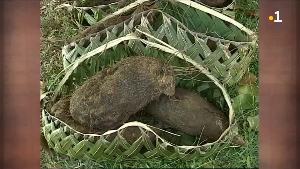 TALANOA: Manatu'i (Association Leleifi fakatete de Hihifo 1996)