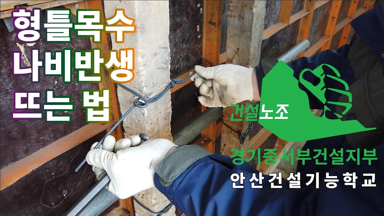 나비반생 뜨는 법