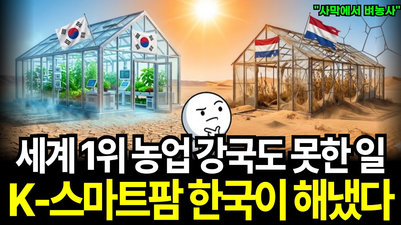 세계 1위 농업 강국도 못한 사막에서 벼농사 성공 K-스마트팜
