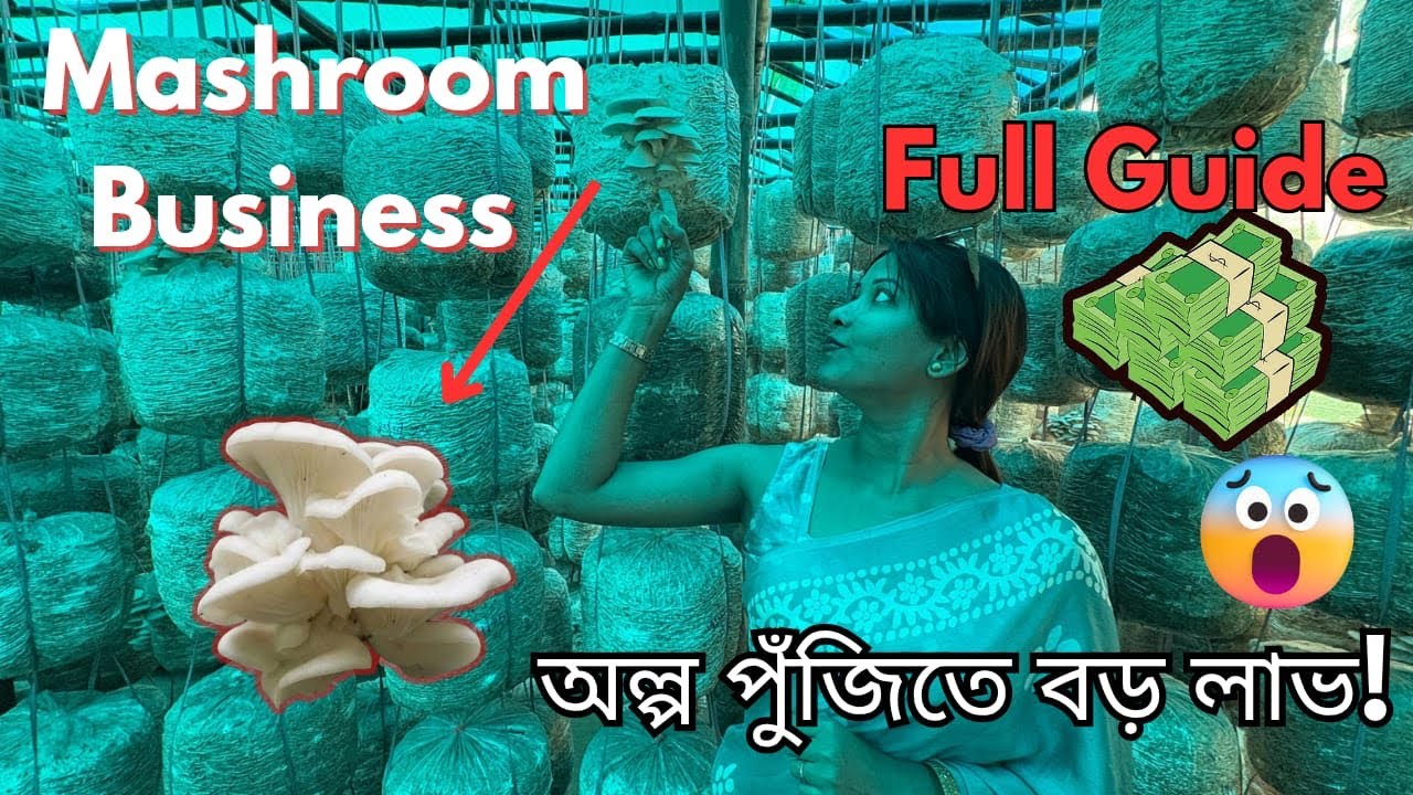 ঘরে বসে অল্প জায়গায় বড় ব্যবসা 💥😍 