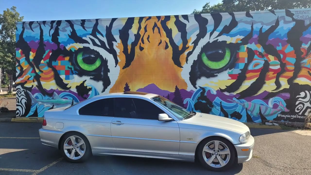 E46 330ci Autocross build.