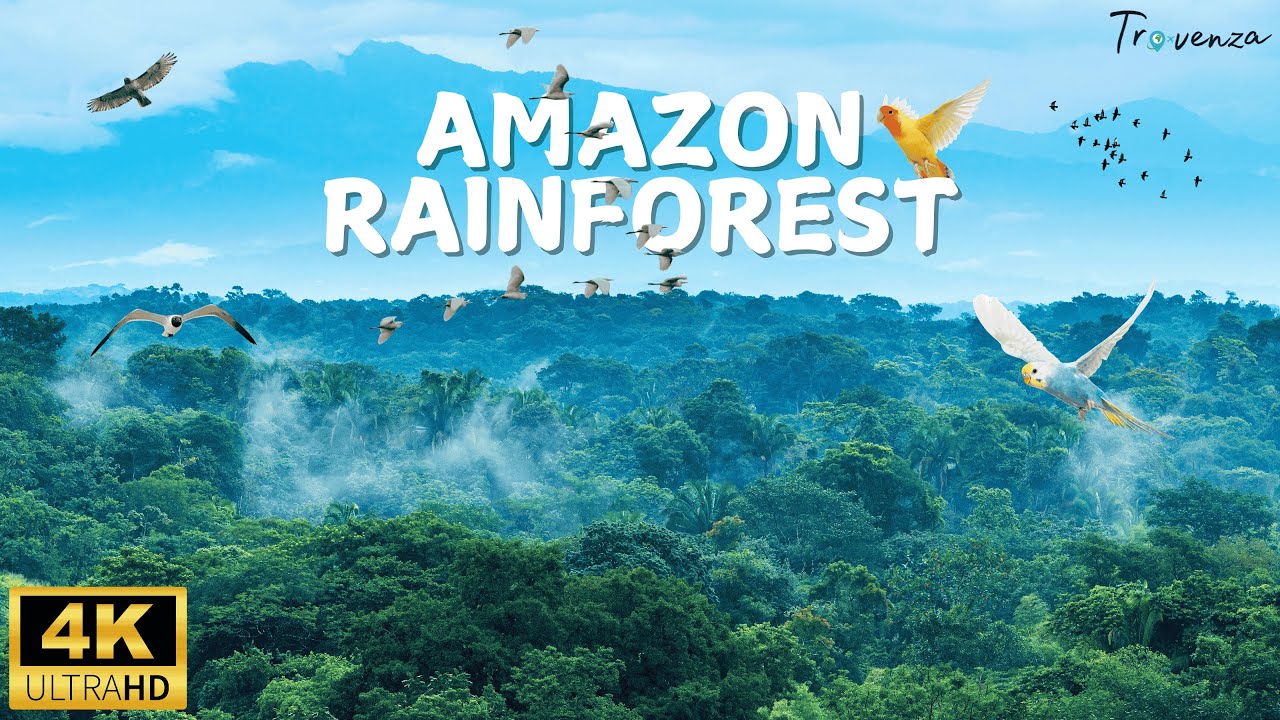 Amazon Rainforest | The Lungs of the Earth 🌍 | Nature & Wildlife Documentary #travenza