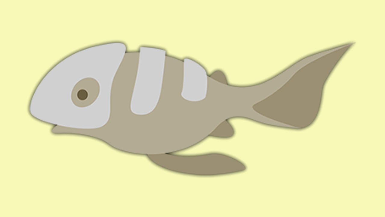 Cat Goes Fishing - Bonefish catching Guide