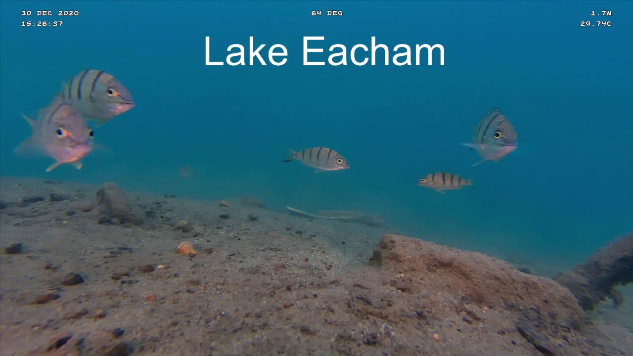 Lake Eacham and Lake Barrine FNQ Australia