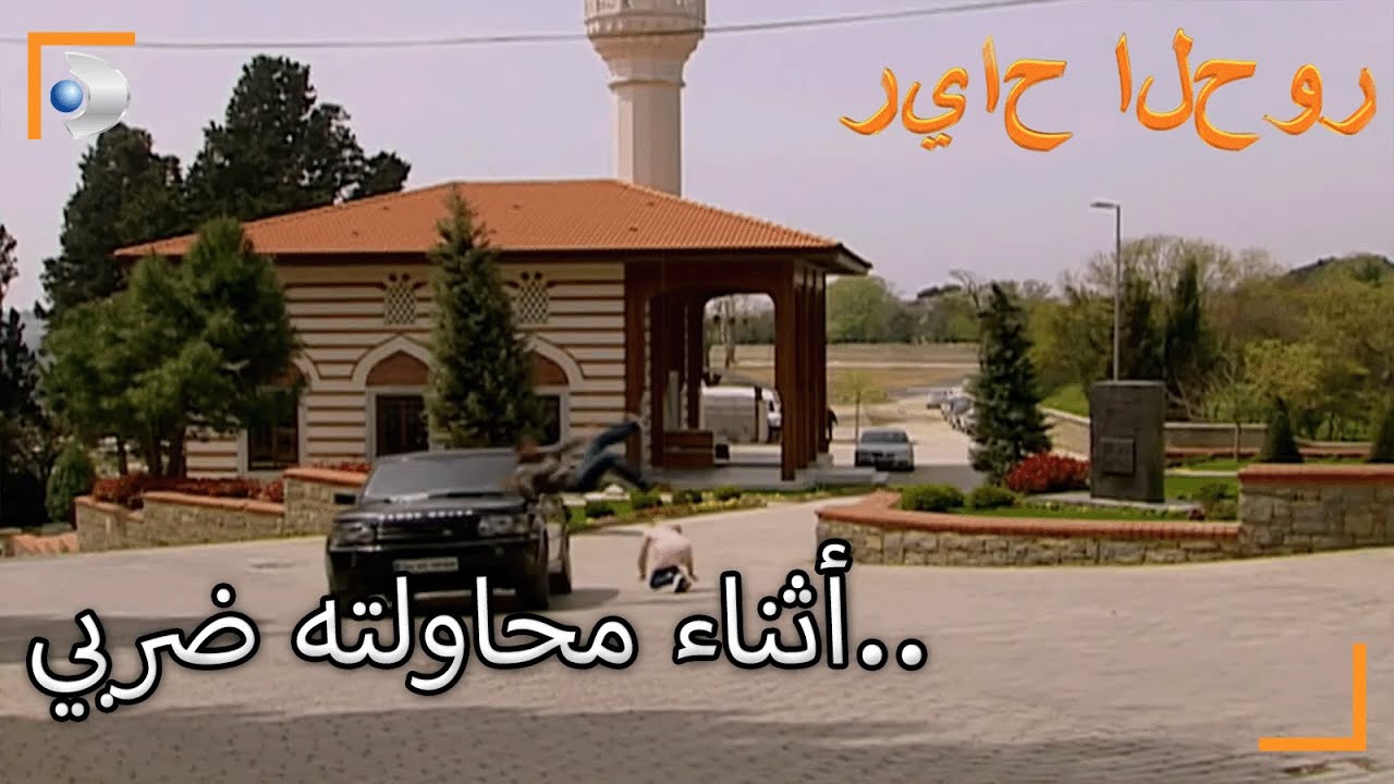 سيارة تصطدم بالبحر! - سنوات الصفصاف ال 224