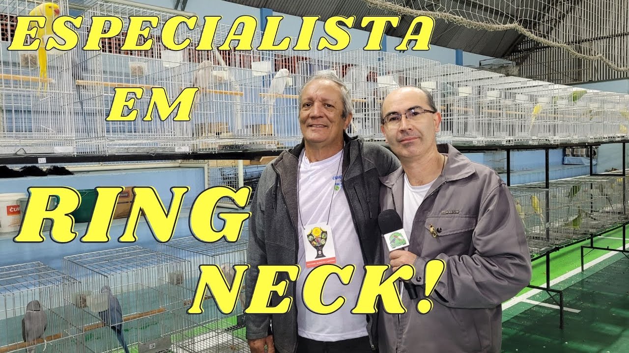 ANTONIO CARDOSO CRIADOR DE PSITACÍDEOS ESPECIALISTA EM RING NECK!