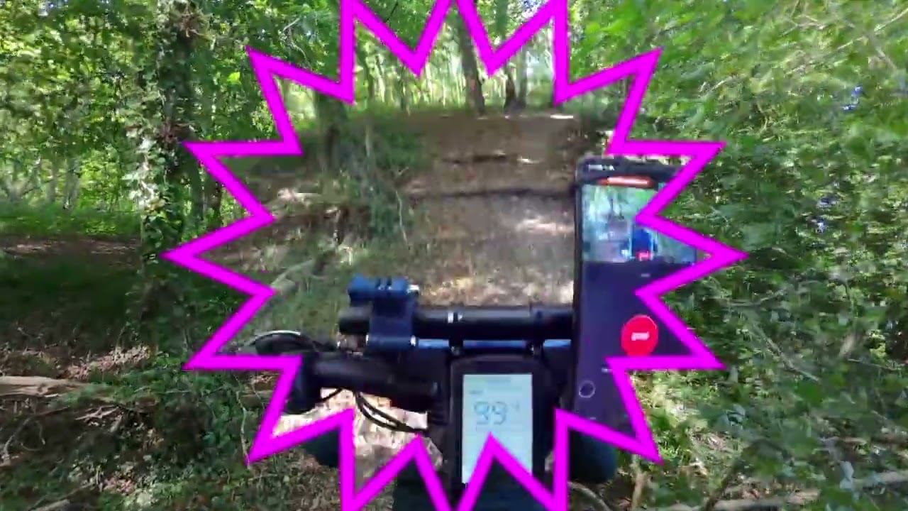 VTT foret et  Drone DJI N&eacute;o   en Normandie (le havre)