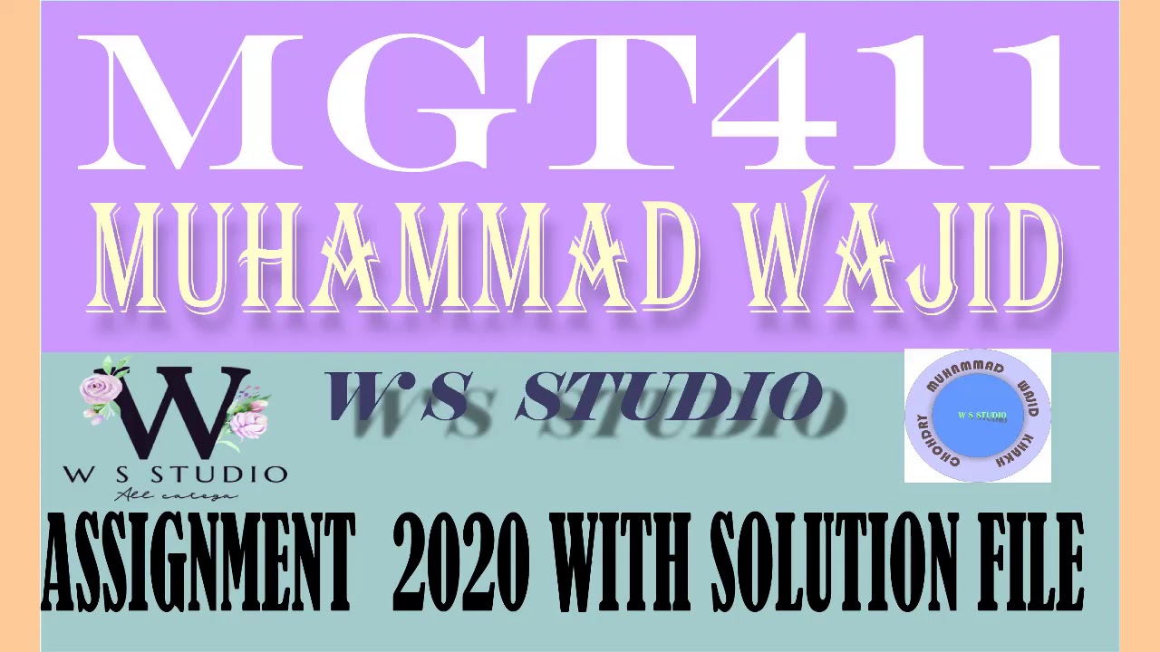 mgt411 assignment 1 solution spring 2020