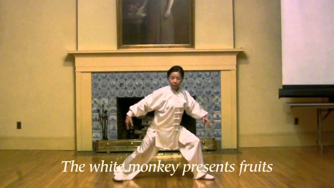 Swimming Dragon Tai Chi Demo