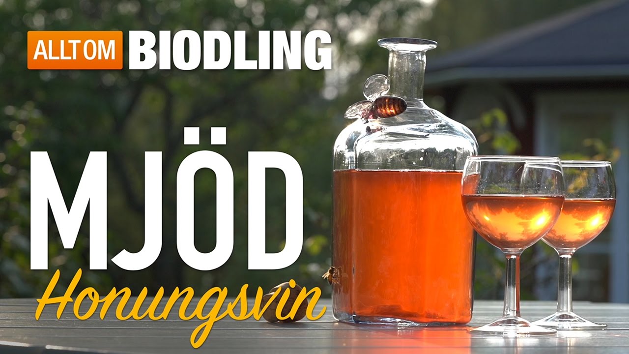 Mj&ouml;d - Honungsvin