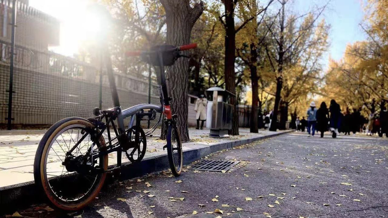 2020 Autumn Ride; Cycling in Beijing when the leaves are yellow.
