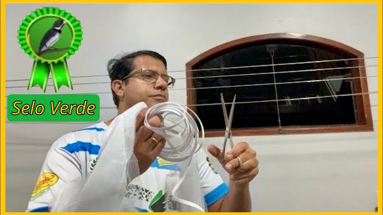 SELO VERDE TUDO QUE VC PRECISA SABER