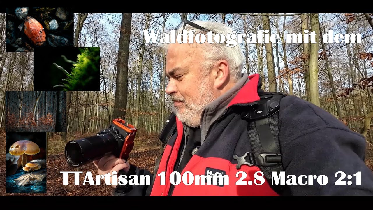 Landschaftsfotografie | MAKRO mit dem TTArtisan 100mm 2.8 Macro 2:1 im Wald