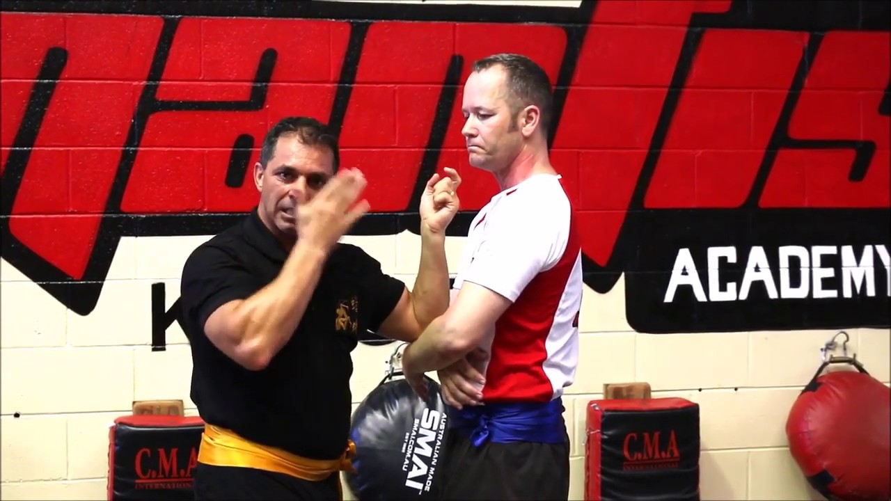 Mantis Kung Fu - Level 6 , Lesson 16 - Sare Hoon - Snake Hands