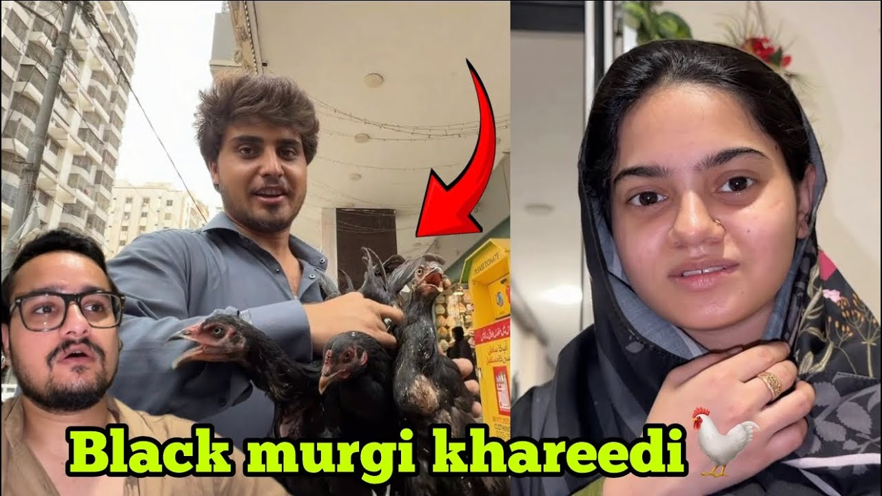 Aj bahar nikal kar important kaam kar liya🚨murgi ny anda bhi dediya🐣