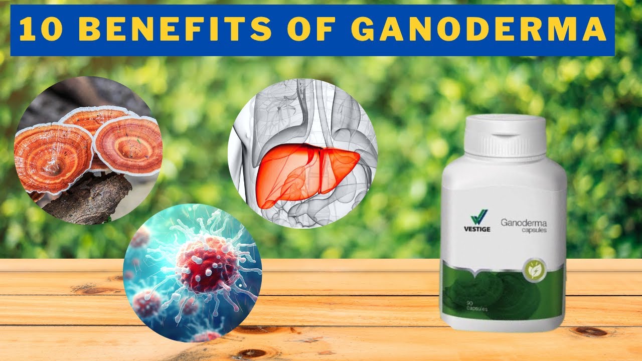10 Benefits of Vestige Ganoderma | கனோடெர்மாவின் 10 நன்மைகள்|  Ganoderma Mushroom health benefits