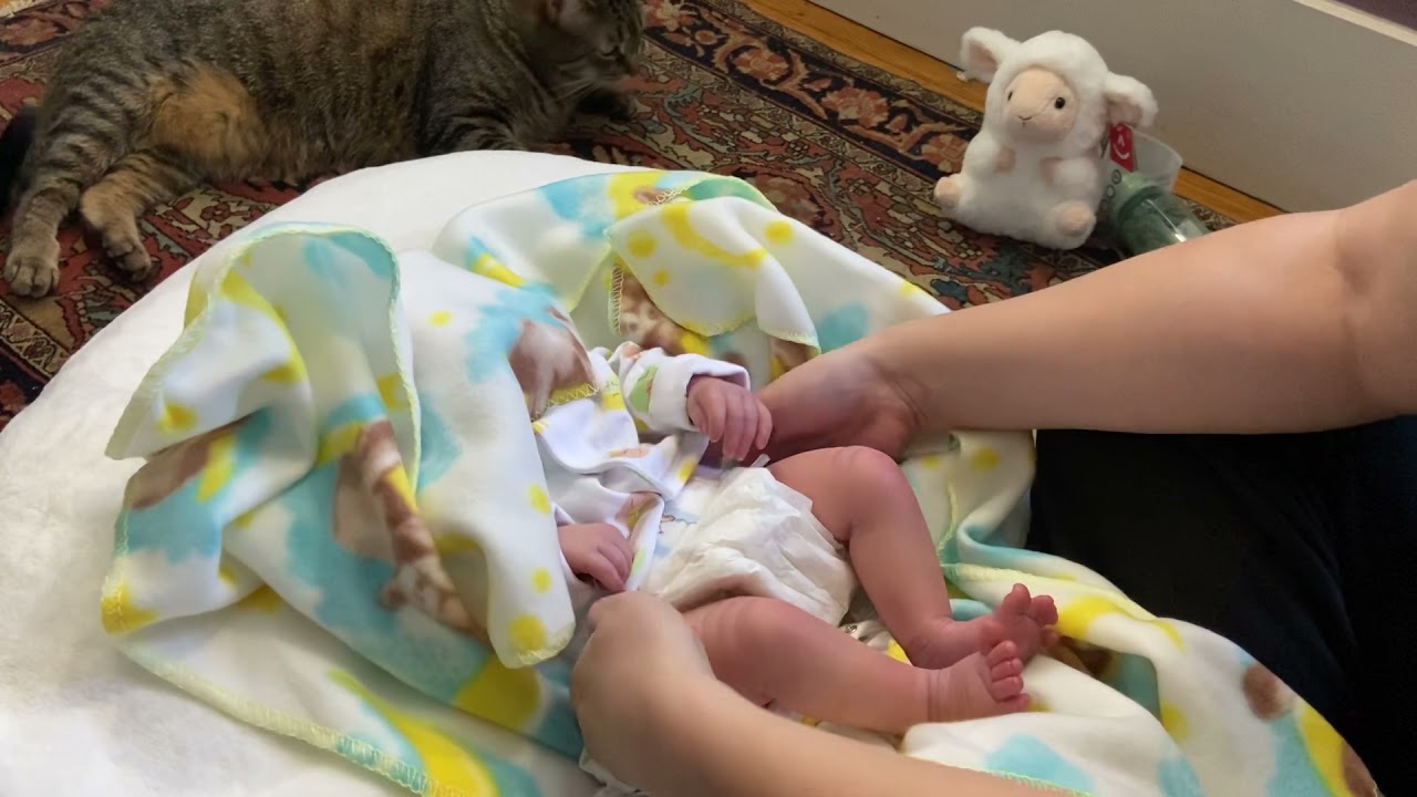 Spectacular Box Opening 📦 Realborn Dustin Asleep by Bountiful Baby reborned by Elena Kipriyanova