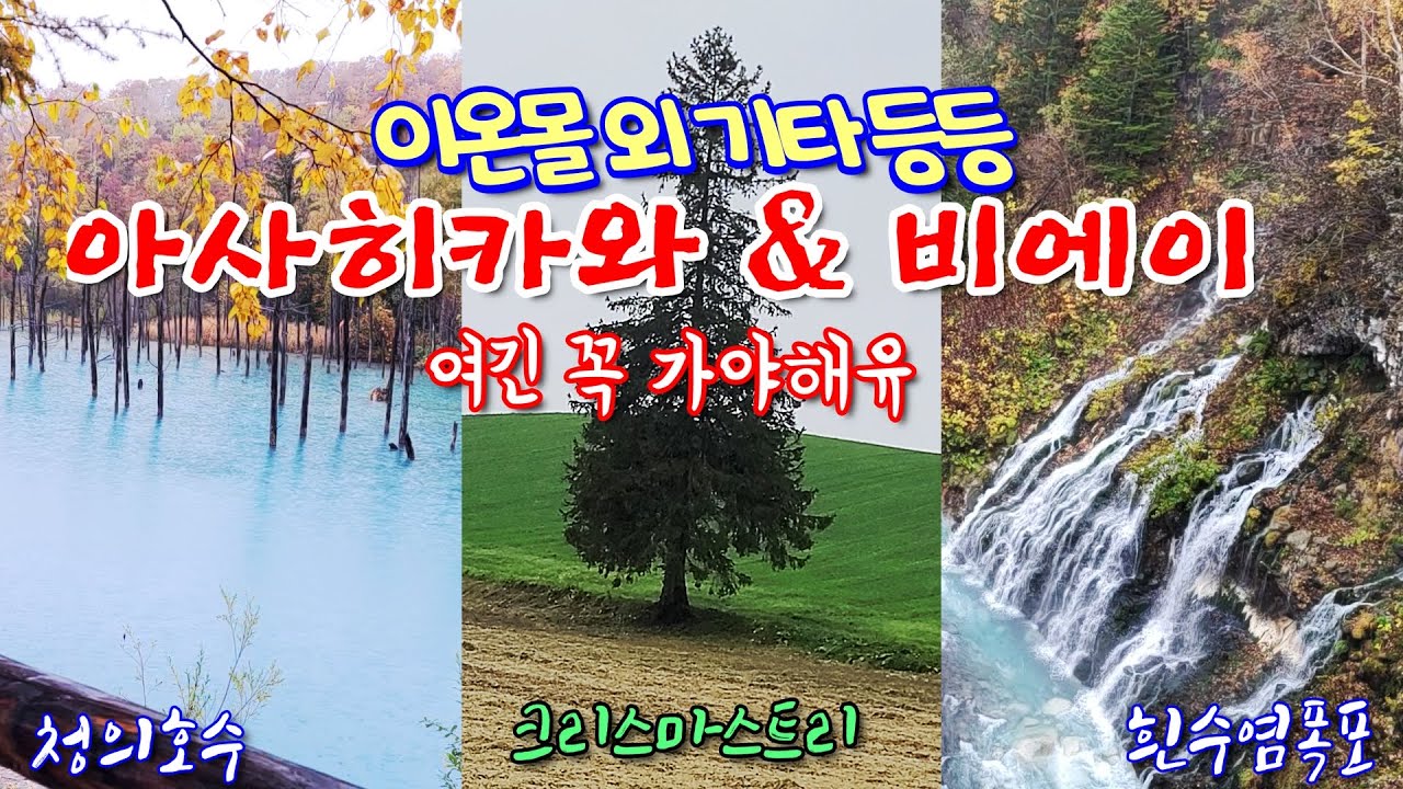 일본 홋카이도 자유여행🌈비에이 아사히카와 호텔 이온몰 볼거리 먹거리 (이온몰 JR inn인 객실 조식 청의호수 흰수염폭포 미우라아야코 기념문학관)