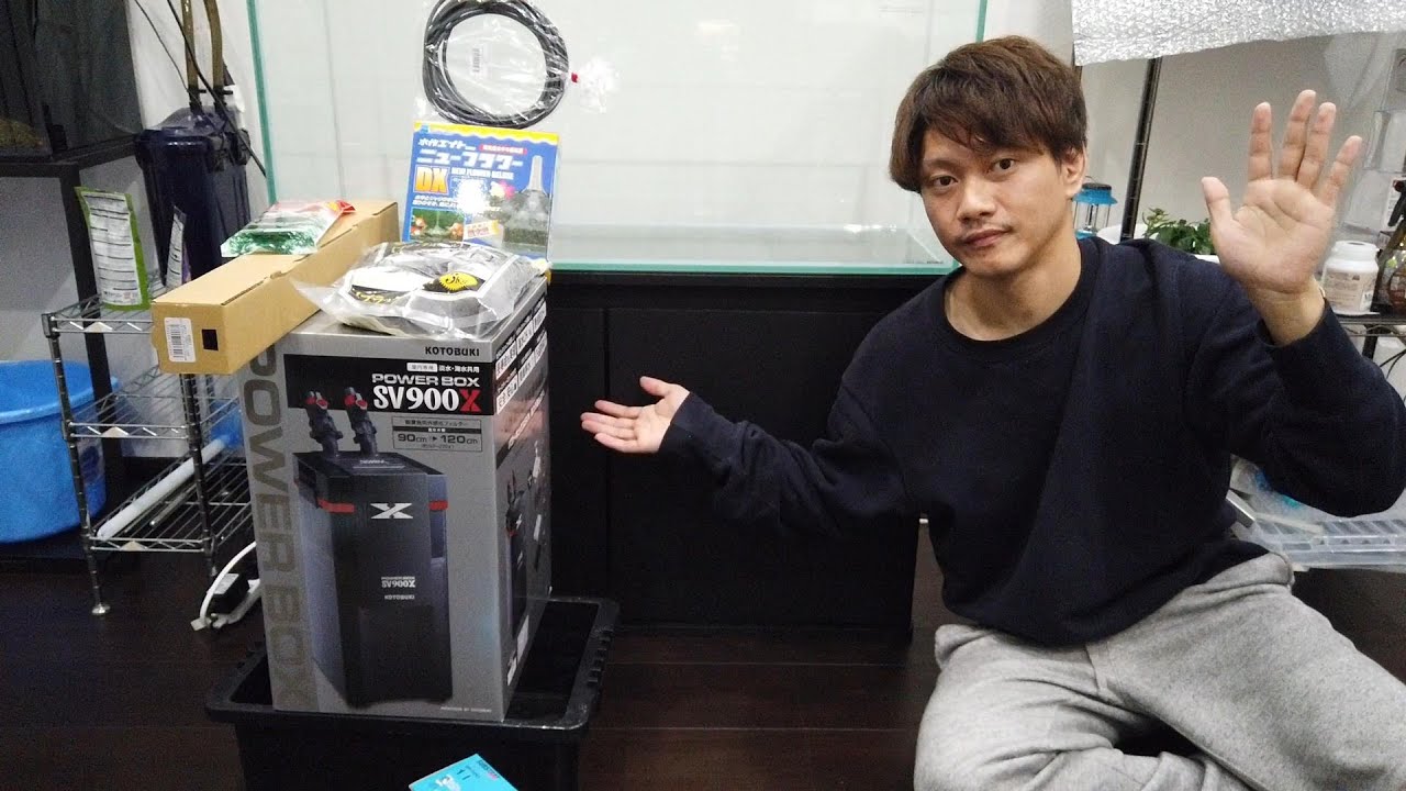 初心者が本気で90㎝金魚水槽を立ち上げてみた【前編】