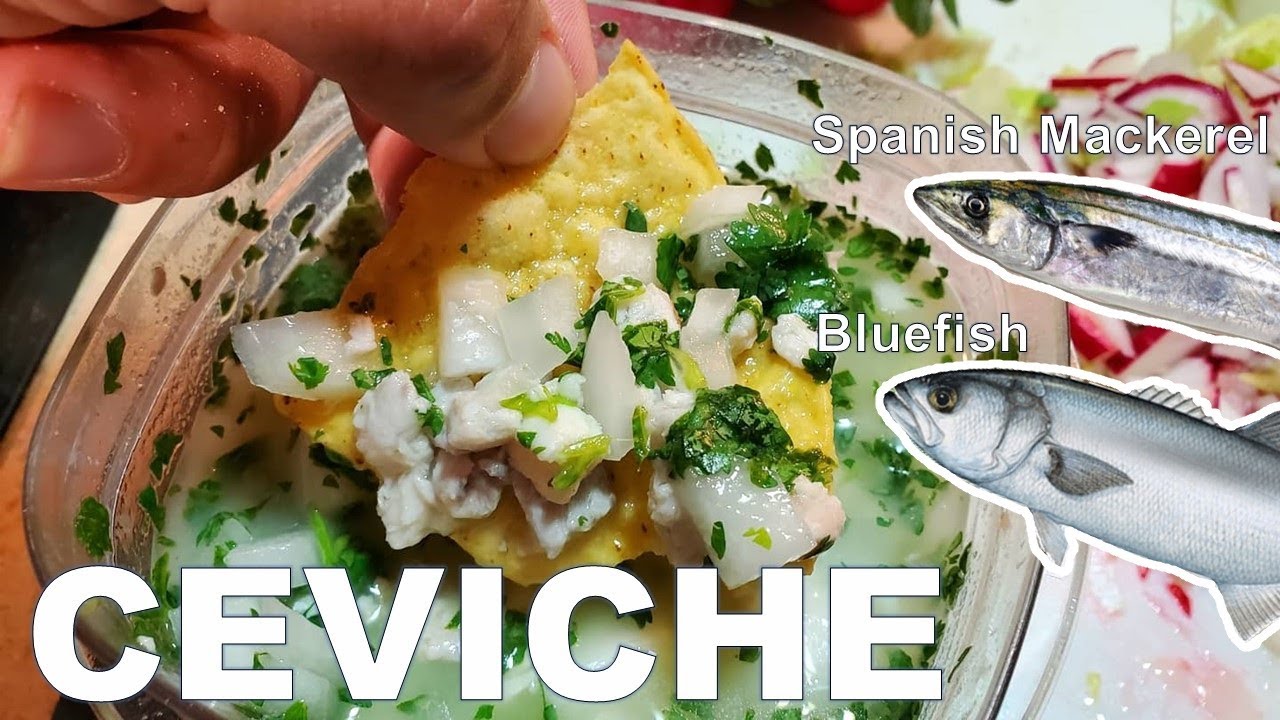 Spanish Mackerel and Bluefish Ceviche Catch and Cook