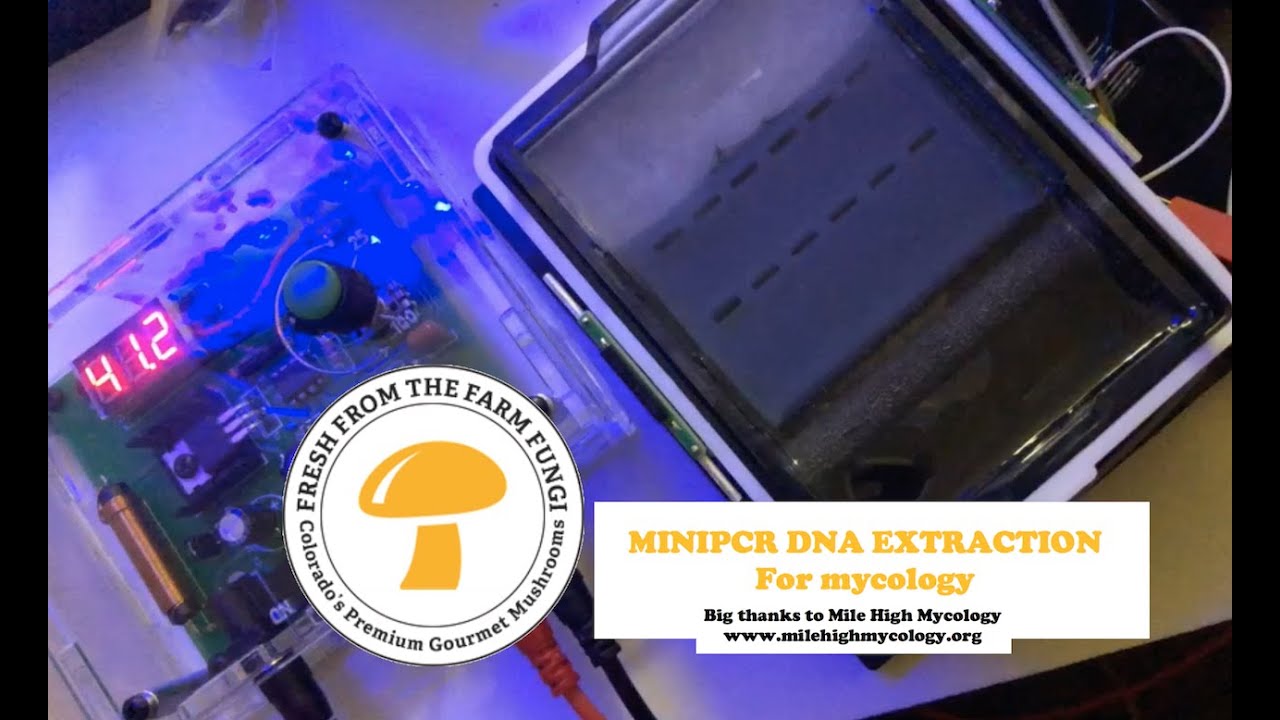 Mini PCR extraction overview with Fresh from the Farm Fungi: Mycology genetic machine