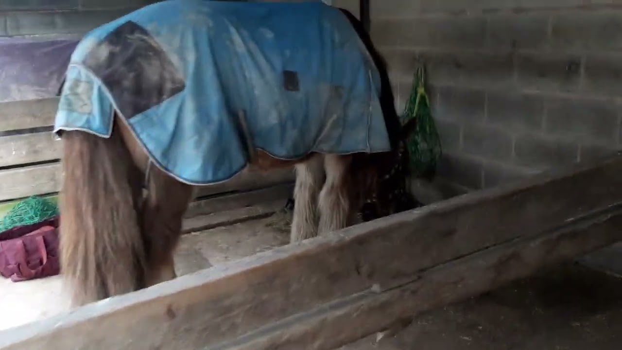 Bucket time = feed