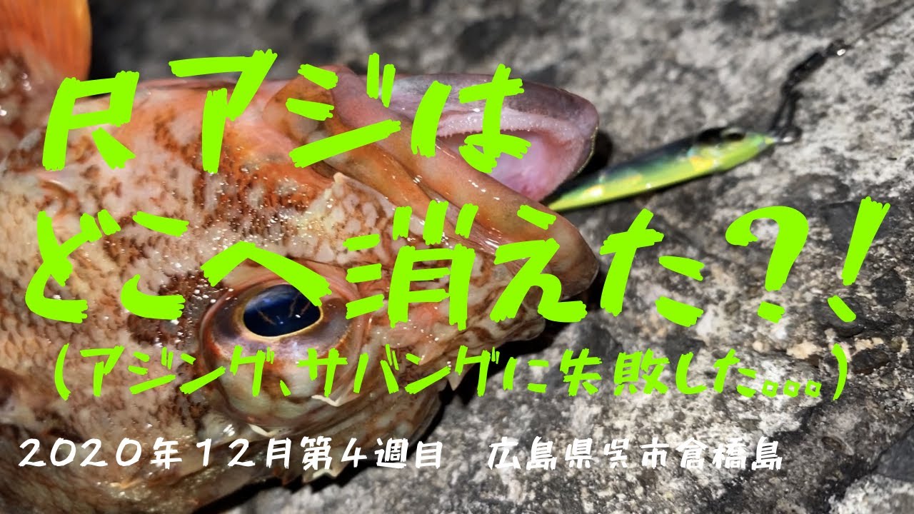 #12【アジ、メバル、カサゴ釣り】尺アジはどこへ消えた？！2020年12月第4週目　広島県呉市倉橋島