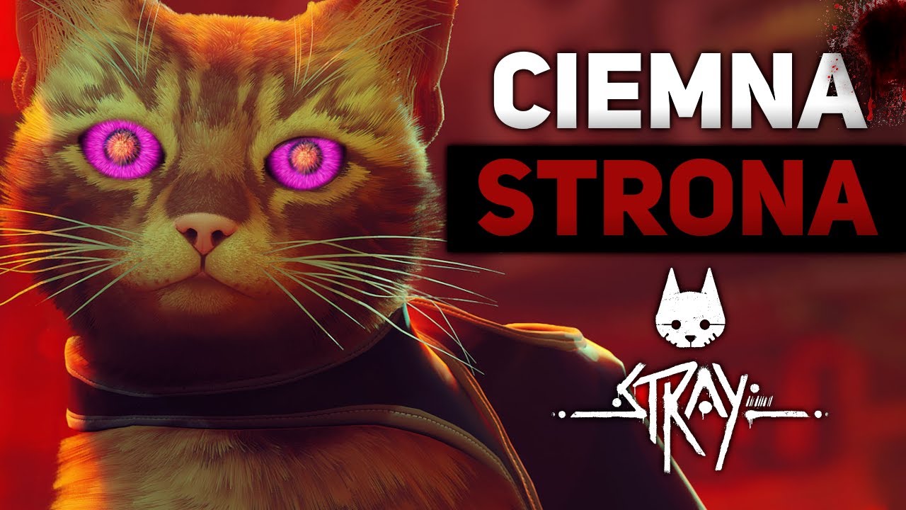 Mroczna Historia Świata w Stray