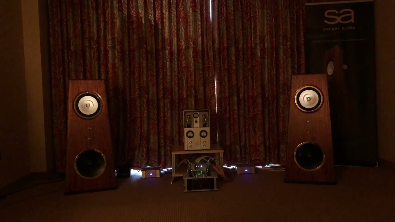 Pacific Audio Fest Room S2 Video #2