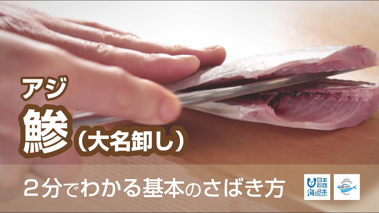 鯵（あじ）のさばき方：大名卸し - How to filet Horse Mackerel  ver.Daimyo Oroshi-｜日本さばけるプロジェクト（海と日本プロジェクト）